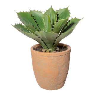 Kunstpflanze Echeveria