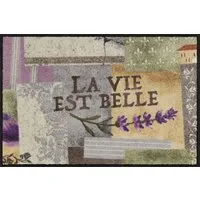 Salonloewe Fußmatte Salonloewe LA VIE EST BELLE Fußmatte Wohnmatte 50 x 75 cm, Rechteckig, Höhe: 7 mm, In- und Outdoor, waschbar bei 40° Grad und trocknergeeignet