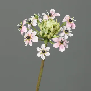 Kunstblume Ornithogalum
