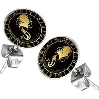 Taffstyle Ohrstecker-Set Ohrringe Sternzeichen Tierkreiszeichen Ohrstecker Motiv Chirurgenstahl (Runde Sternzeichen Ohrstecker für Damen und Herren in 12 Motiven), Runde Platte Lustig Wassermann Motiv Damen Herren Klein Rund