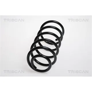 Triscan Feder hinten Opel Corsa D 875024134