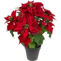 Kunstblume Weihnachtsstern Nature samt-rot im Topf PM Kunstblumen künstliche Poinsettie Blume, Seidenblumen Roß, Höhe 38 cm, mit 6 Blüten