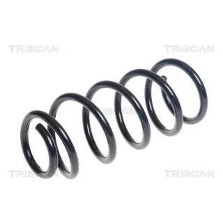 Triscan Feder hinten Mini 875011189