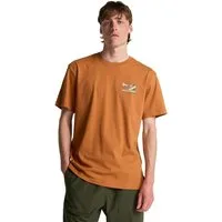 Billabong T-Shirt Range