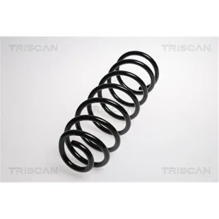Triscan Feder hinten Citroen C8 Fiat Ulysse Peugeot 807
