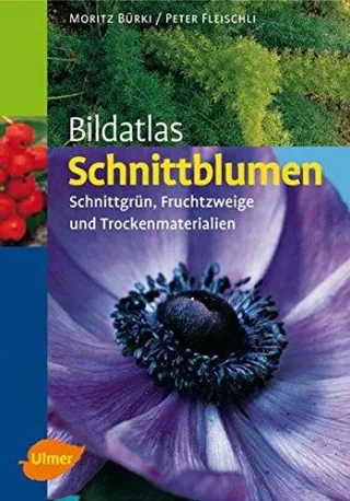 Bildatlas Schnittblumen: Schnittgrün Fruchtzweige und Trockenmaterialien (Bildatlanten)