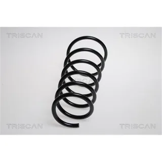 Triscan Feder vorne Suzuki Swift 3