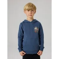 Name It Kapuzensweatshirt NKMBASTIAN LS SWE WH BRU BOX PS NOOS