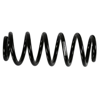 Sachs Feder hinten VW Golf 6 5-T?rer mit Standardfahwerk 2,0
