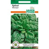 SAMEN PFANN Gemüsesamen Spinat, Monnopa - Saatgut Spinat-Samen Samen, Spinacia oleracea