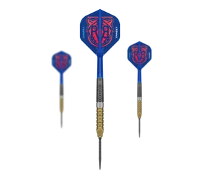 Target Raymond Van Barneveld GEN6 Swiss Point Steeldarts