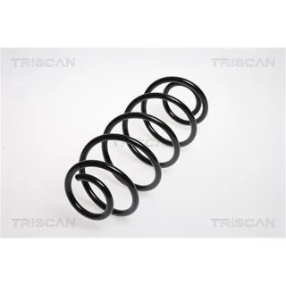 Triscan Feder hinten Citroen C2 1,6