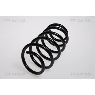 Triscan Feder vorne Opel Meriva Zafira 875024143