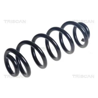Triscan Feder hinten Audi Q5 2,0 875029506