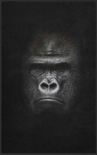 Fussmatte 7545 | Größe: 60 cm x 90 cm
