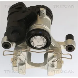 Triscan Bremssattel hinten links Audi Seat Skoda VW 817529239