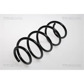Triscan Feder vorne Opel Signum Vectra C 875024078
