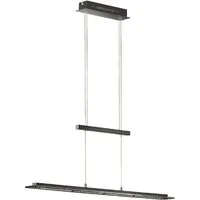 FISCHER & HONSEL Pendelleuchte