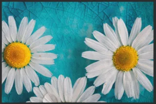Fussmatte Gänseblümchen 4604 | Größe: 60 cm x 45 cm