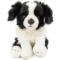 Teddys Rothenburg Kuscheltier Hund Border Collie 30 cm sitzend schwarz/weiß Plüschhund Stofftier (Stoffhunde Plüschhund, Stofftier, Border Collie)