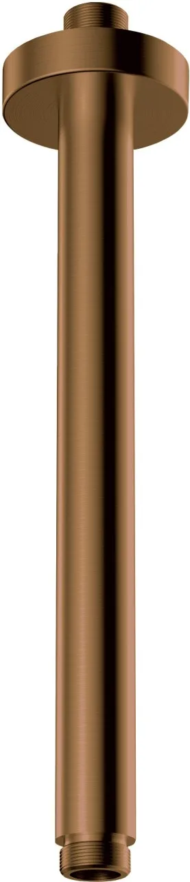 Neuesbad Serie 310 Bronze Gebürstet CEILING Auslauf, 250MM NB1DENACC42K1