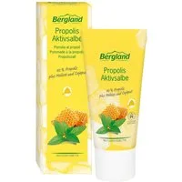 Bergland-Pharma GmbH & Co. KG Lippencreme Propolis Aktivsalbe, Aktivpflege bei Lippenbläschen und Aknepusteln