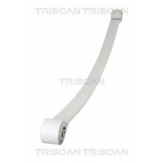 Triscan Blattfeder Hinten Mercedes Sprinter VW Crafter 876523024