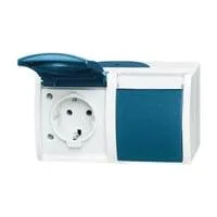 Schutzkontakt-Steckdose Schuko 2-fach waagerecht mit Beschriftungsfeld, Aufputz, IP44 blau, Retail