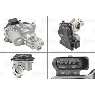 Valeo AGR-Ventil Audi Seat Skoda VW 700458