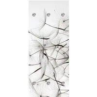 queence Wandgarderobe Pusteblumen - Schwarz/Weiß - Garderobe aus hochwertigem Acrylglas (1 St), verschiedene Größen - mit Edelstahlhaken