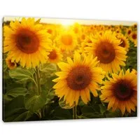 Pixxprint Leinwandbild Sonnenblumen auf dem Feld, Sonnenblumen auf dem Feld (1 St), Leinwandbild fertig bespannt, inkl. Zackenaufhänger