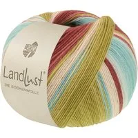 LANA GROSSA Landlust die Sockenwolle 0136 burgund graurot mint türkis pist... Häkelwolle