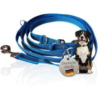 Activity4Dogs Hundeleine für große Hunde, Anti-Slip, 3 m lang, 4-fach verstellbar, TESTSIEGER, rutschfest, Nylon, sehr gut bei Regenwetter, Made in Germany