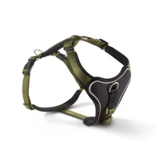 Wolters Professional Comfort Hundegeschirr schwarz/ grün M