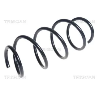 Triscan Feder vorne Kia Rio 1,4 87501863