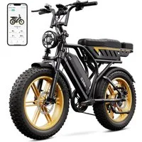 SISIGAD E-Bike Mountainbike 20 Zoll Fat Tire E-Bike mit Doppel-Akku-System, 250W Motor,APP,fatbike, Shimano, 720 Wh, 48V 25Ah + 48V 15Ah Akku, hoher Fahrkomfort für Alltag und Freizeit