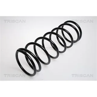 Triscan Feder vorne Volvo 240 2,3