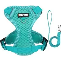 Eyecatcher Hunde-Geschirr Verstellbares Hunde-Geschirr-Set aus atmungsaktivem Mesh mit Leine (4