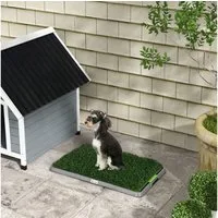 PawHut Hundetoilette Kunstgras mit Tablett für Töpfchentraining, drinnen und draußen, für Hunde, Grün