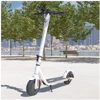 Viron E-Scooter Elektro Scooter mit Straßenzulassung Aluminium, Elektroroller eKFV Zulassung Faltbar Roller EScooter mit ABE