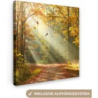 OneMillionCanvasses® Leinwandbild Wald - Bäume - Herbst - Sonne - Herbstblätter - Natur - Fensterblick, Fotodruck (1 St), Wandbild, Deko Schlafzimmer Wohnzimmer Flur 20x20 cm