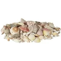 relaxdays Dekoobjekt Muschel Set mit Meeresschnecken 1kg