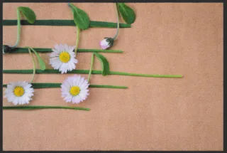 Fussmatte Musik 6142 | Größe: 60 cm x 45 cm