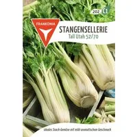 FRANKONIA Gemüsesamen Stangensellerie, Tall Utah - Saatgut Sellerie-Samen Samen, Apium graveolens
