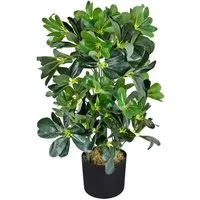 Künstliche Zimmerpflanze Schefflera Aralia Kunstpflanze Künstliche Pflanze Stahlenaralie 60 cm Schefflera, Decovego, Höhe 60 cm