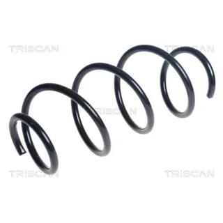 Triscan Feder vorne Mazda Cx-3