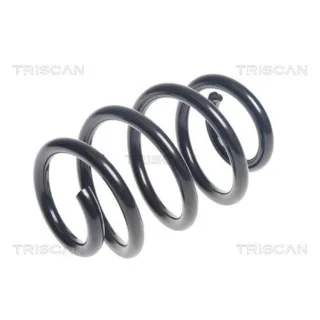 Triscan Feder hinten Mercedes A-Klasse W176 875023192