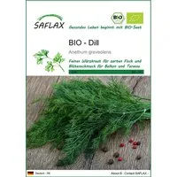 SAFLAX Kräutersamen SAFLAX - Samen - BIO - Dill