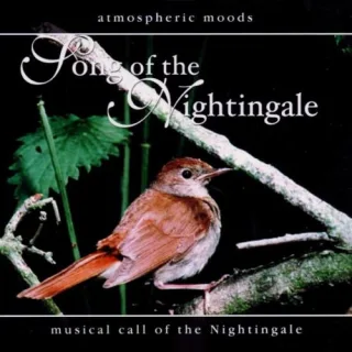 Musical Call of the Nightingale