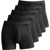 Schöller Retro Pants 5er Pack Herren Pant mit Eingriff Funktionswäsche (Packung, 5-St) -